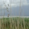 Tour 14: Darß - 3